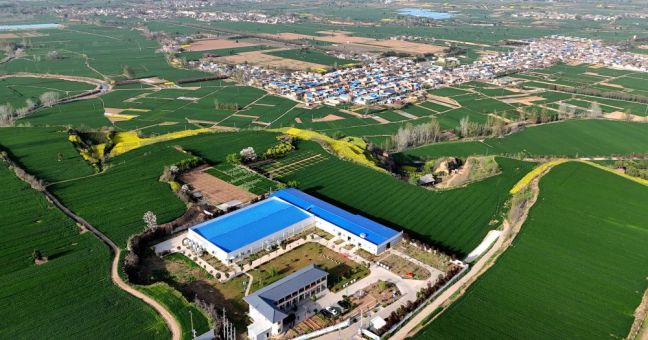 Cina, le industrie legate alle zone rurali in crescita nel primo trimestre