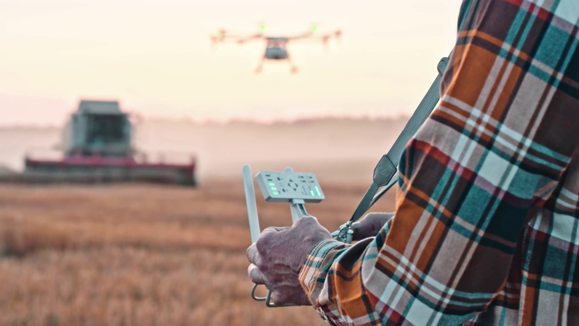 L’agroalimentare punta sull’intelligenza artificiale