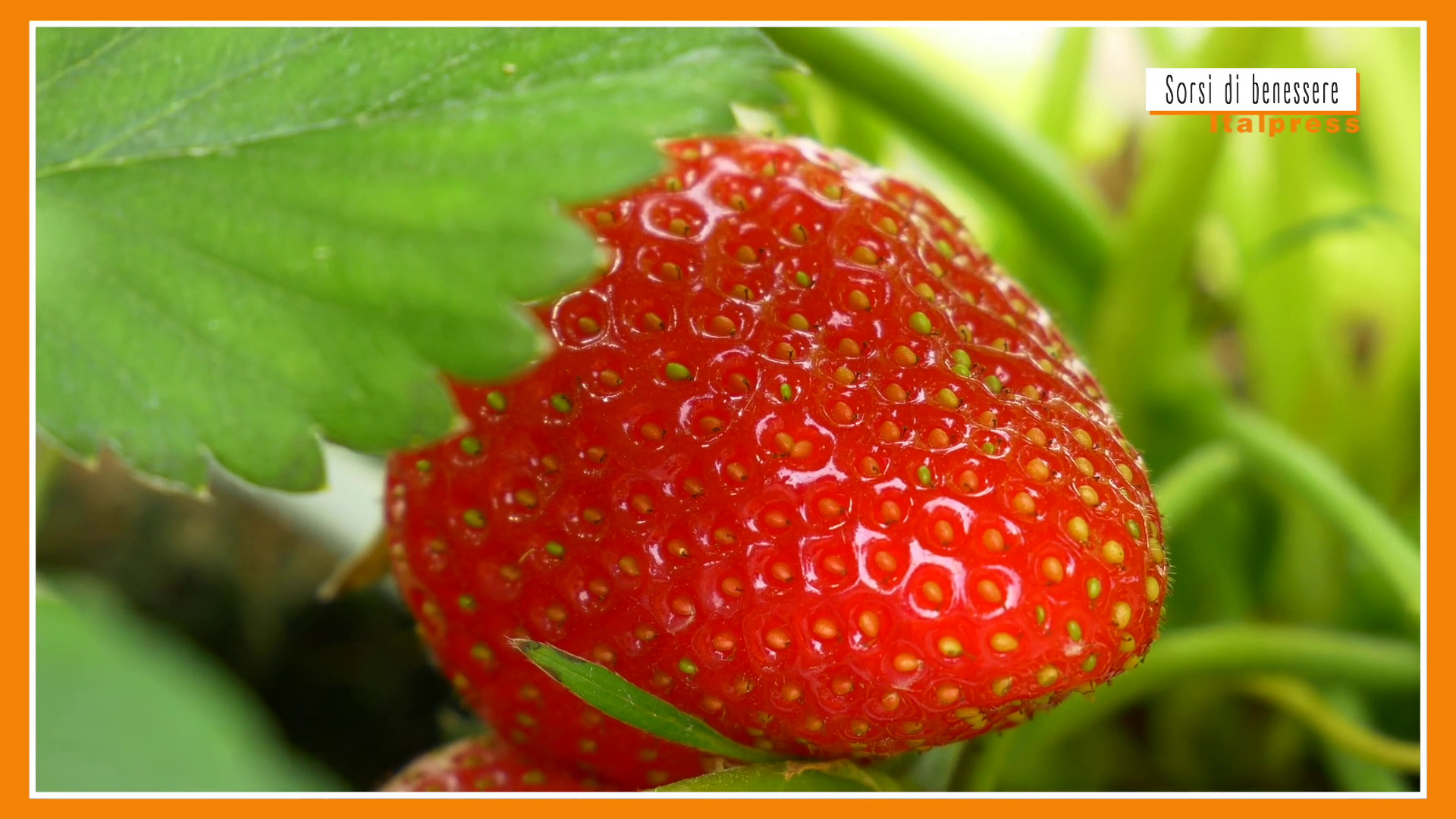 Sorsi di Benessere – Una merenda con fragole e skyr