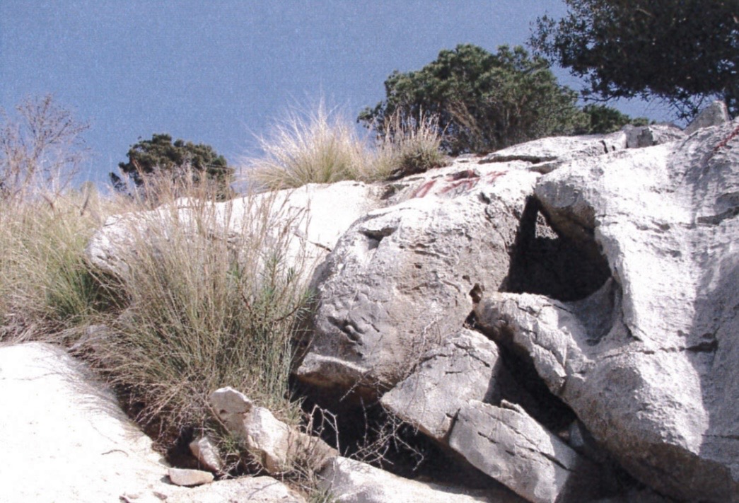 https://livesicilia.it/wp-content/uploads/2026/04/Monte-Gallo-Via-Tolomea-3.jpg