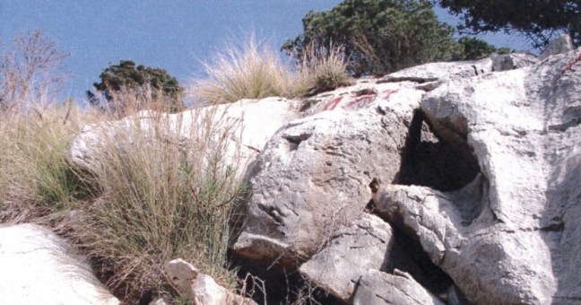 consolidamento monte gallo