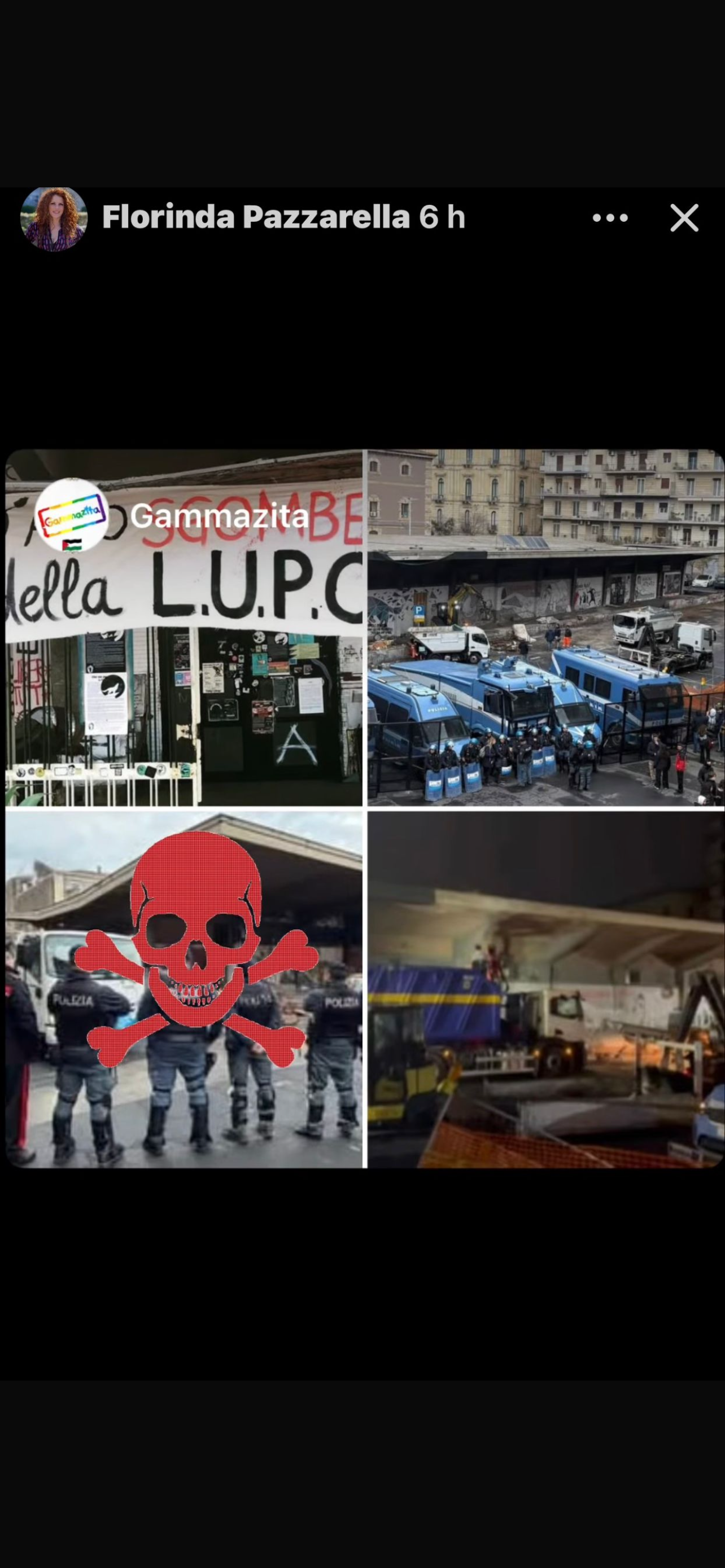 https://livesicilia.it/wp-content/uploads/2026/04/Palestra-lupo-il-caso.png