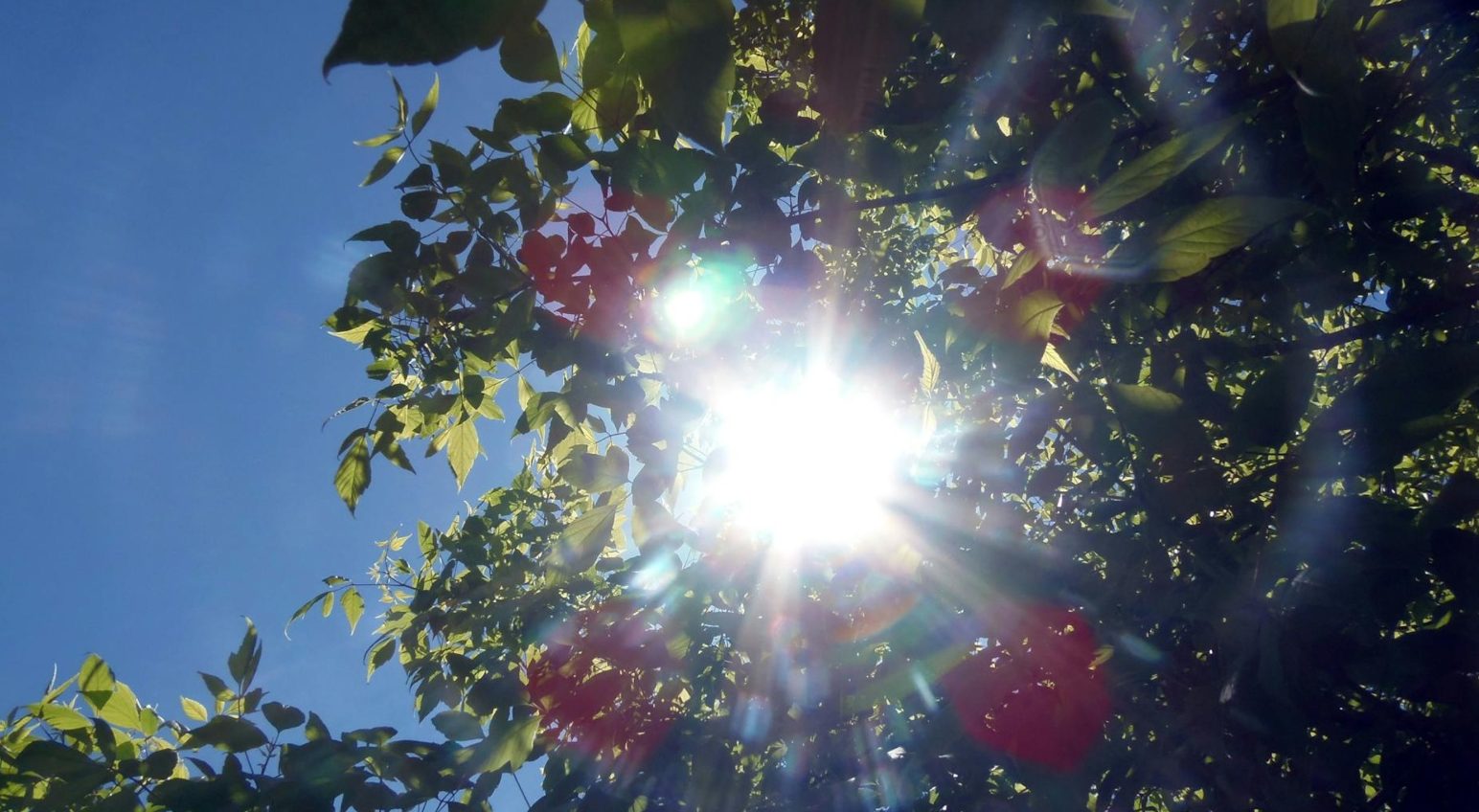 Meteo, sole protagonista: si apre la fase calda della primavera