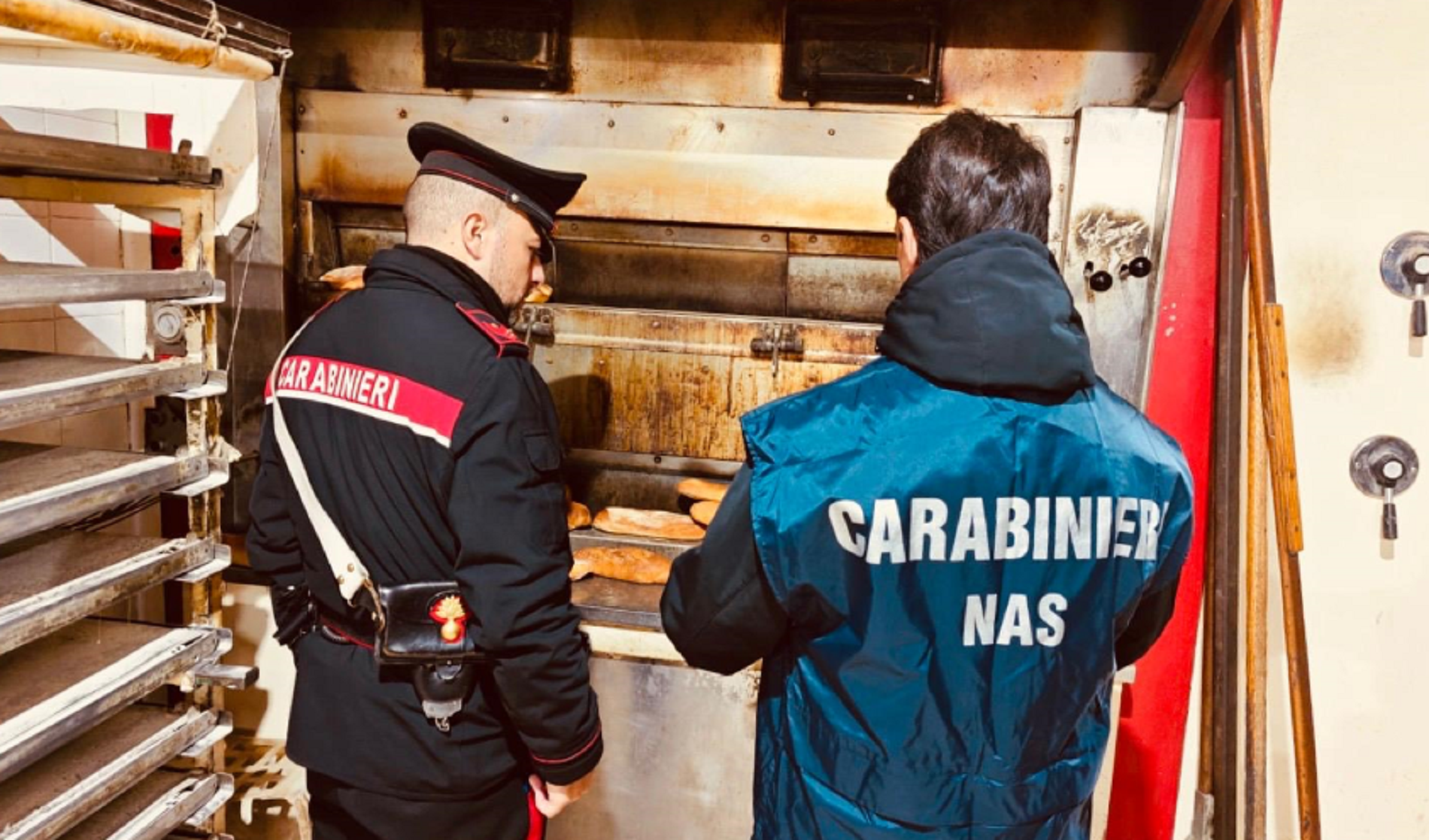 https://livesicilia.it/wp-content/uploads/2026/04/carabinieri-nas.png
