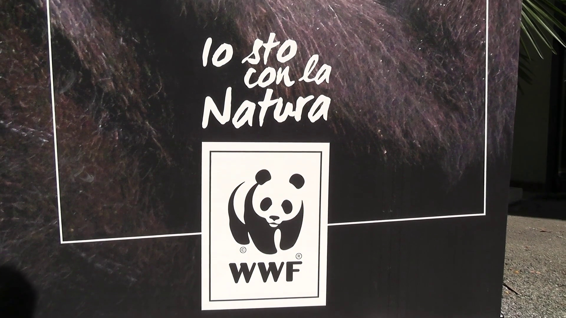 SostenibilitĂ , al via la quinta edizione di “For Nature, For Usâ€