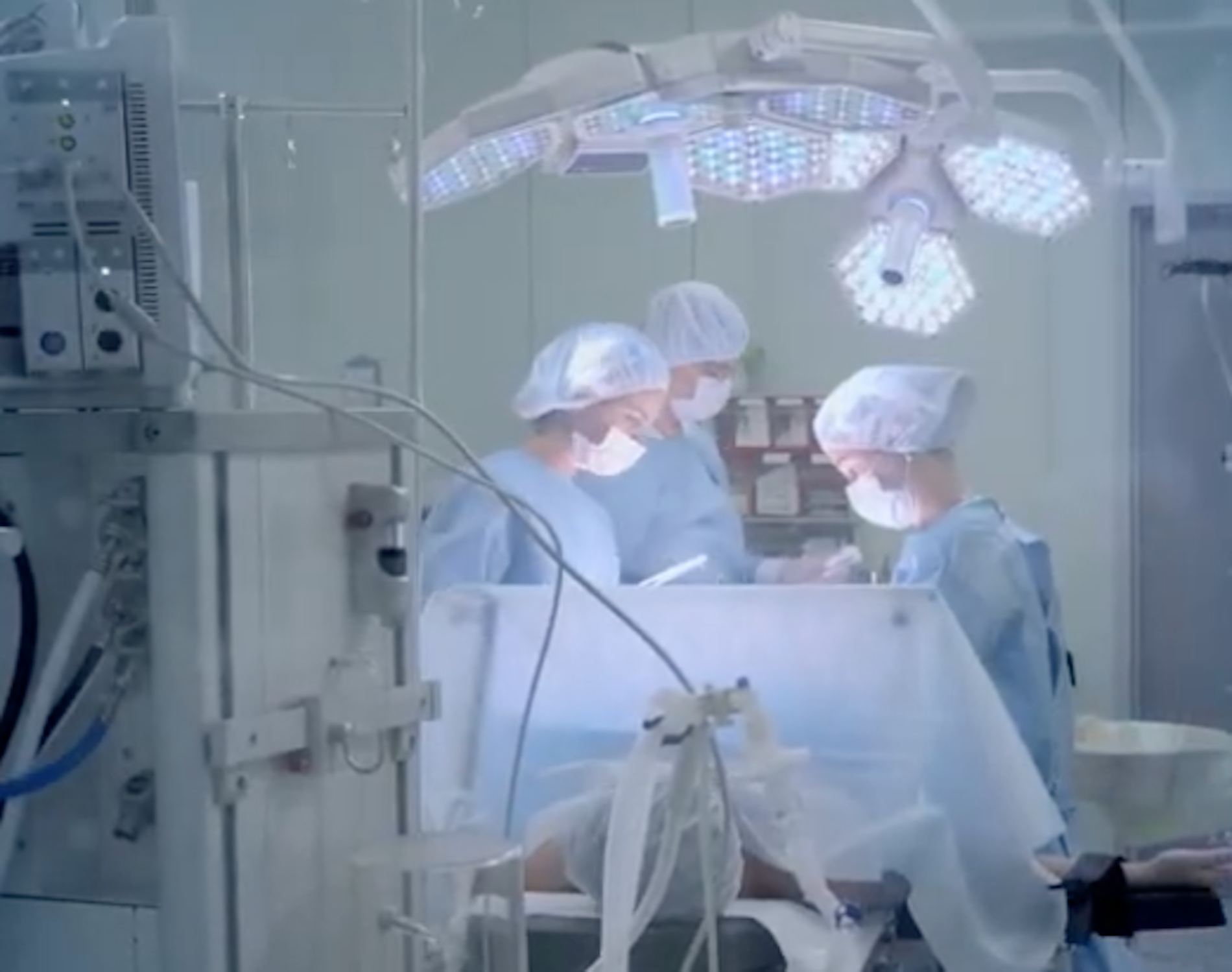Donazione multiorgano al Policlinico di Palermo: salvate diverse vite