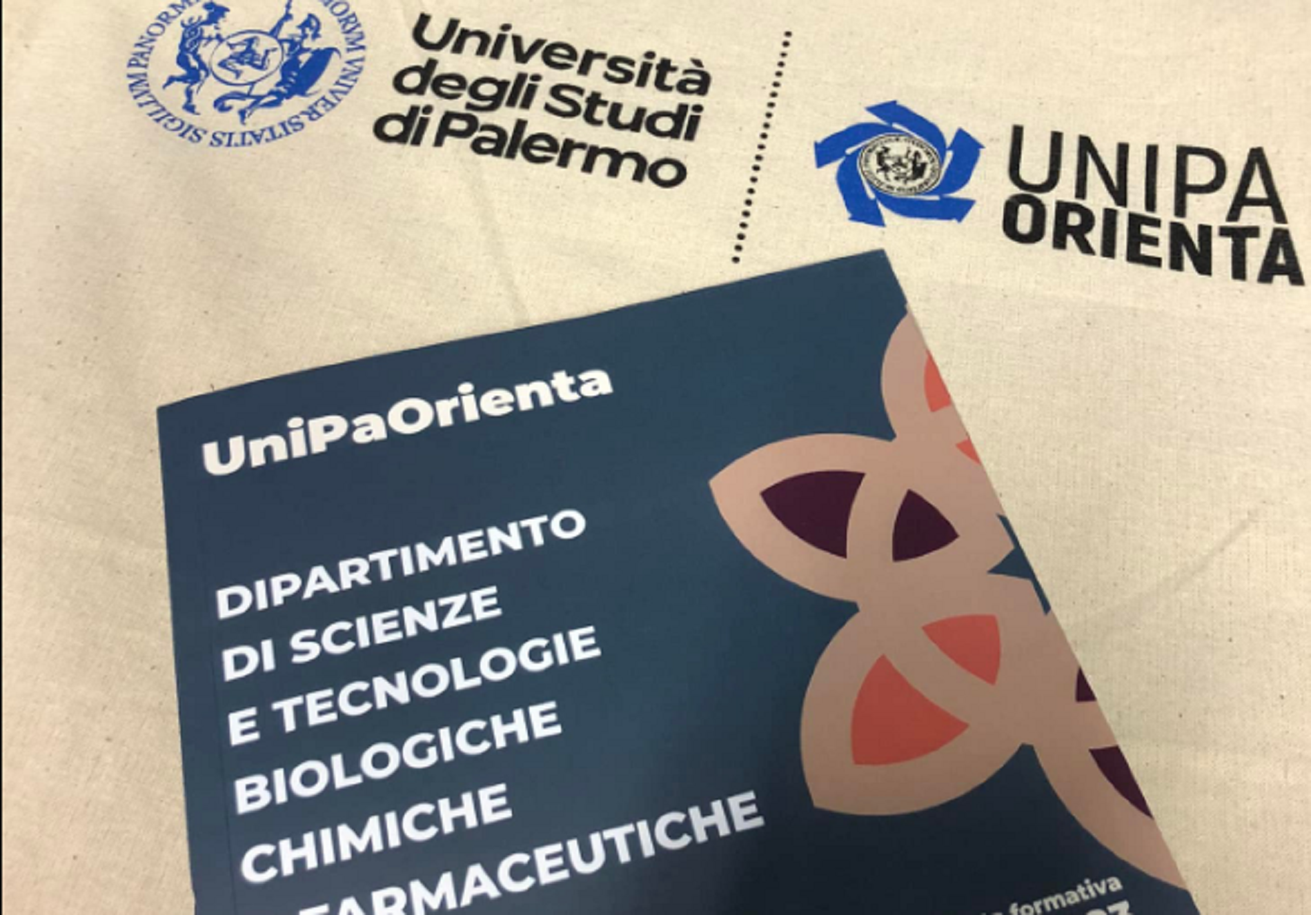 università