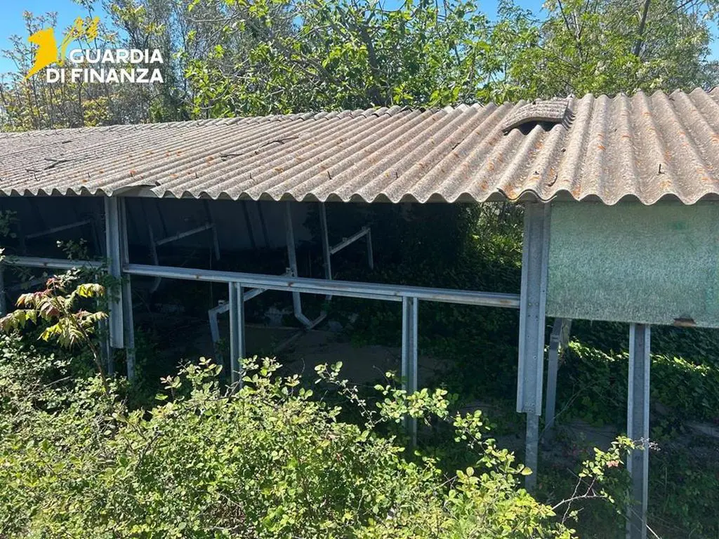 https://livesicilia.it/wp-content/uploads/2026/05/20260508_0091.jpg