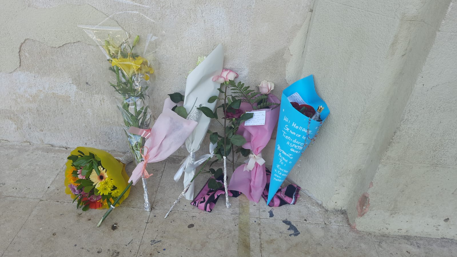 https://livesicilia.it/wp-content/uploads/2026/05/Fiori-Alessia-La-Rosa.jpeg