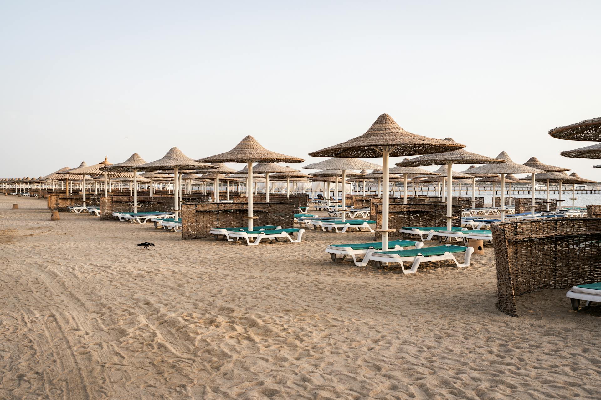 https://livesicilia.it/wp-content/uploads/2026/05/Hurghada-Foto-free-Pexels.jpg