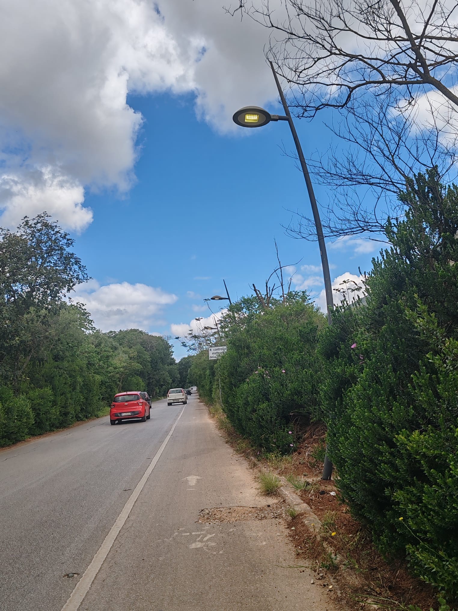 Palermo, si riaccende l’illuminazione del parco della Favorita