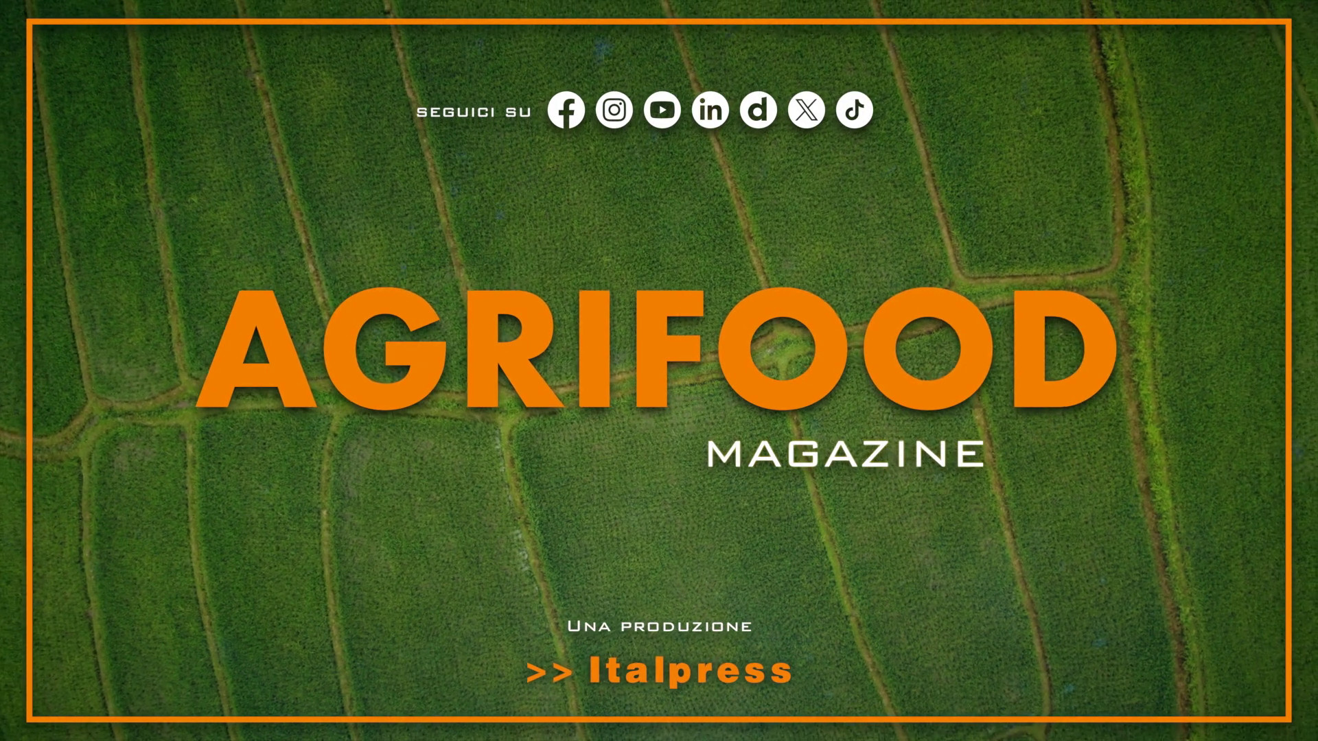 Agrifood Magazine – 6/5/2026