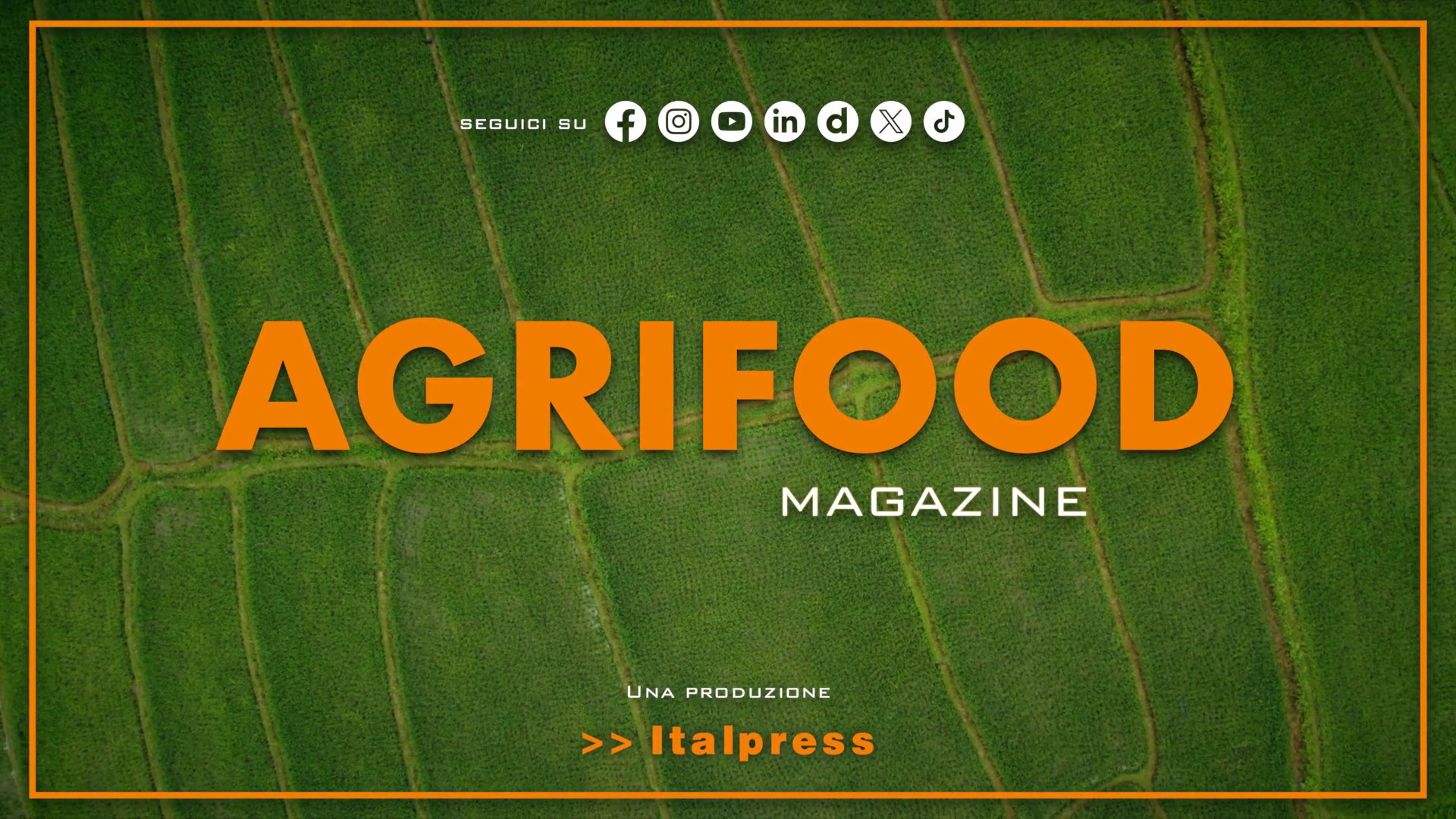 Agrifood Magazine – 13/5/2026