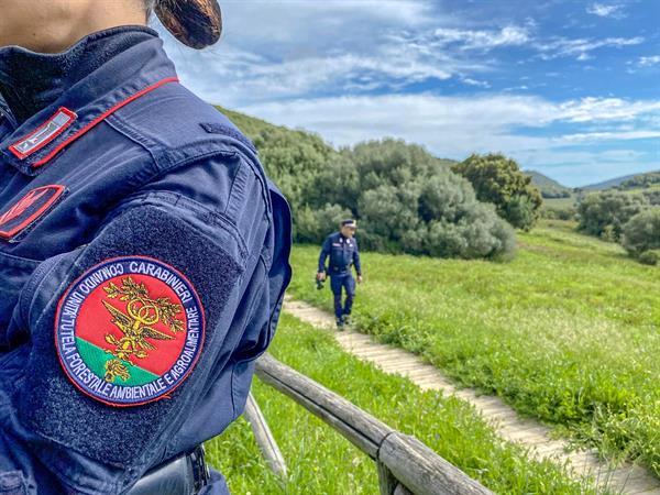 https://livesicilia.it/wp-content/uploads/2026/05/carabinieri-tutela-natura.jpg