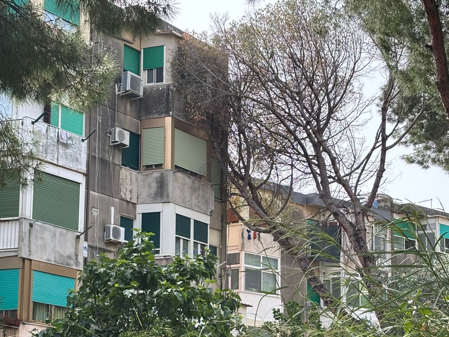 https://livesicilia.it/wp-content/uploads/2026/05/maltempo-Borgo-Nuovo.jpeg