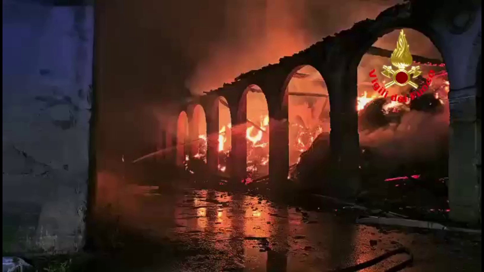 https://livesicilia.it/wp-content/uploads/2026/05/nW14.jpg