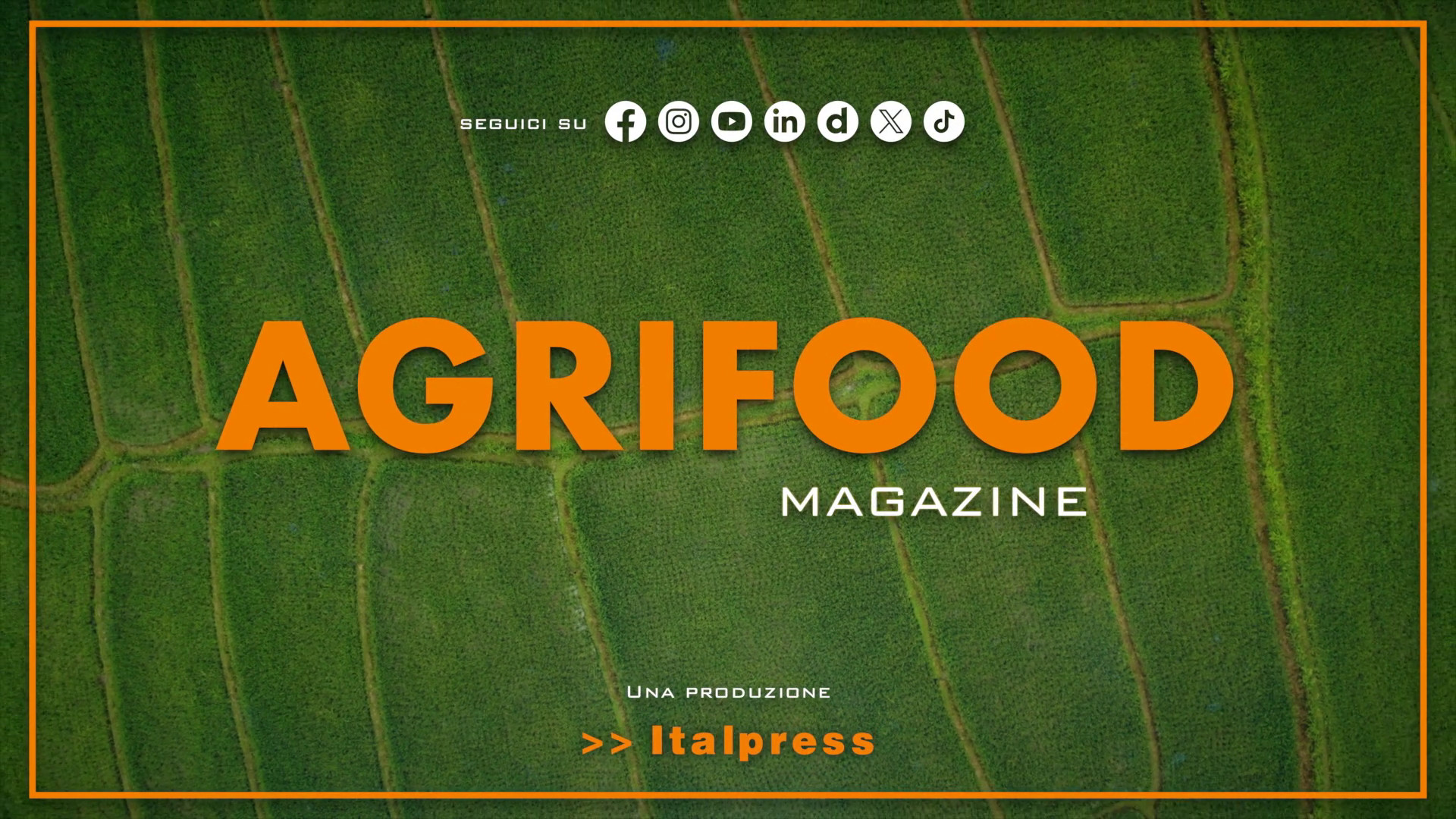 Agrifood Magazine – 27/5/2026