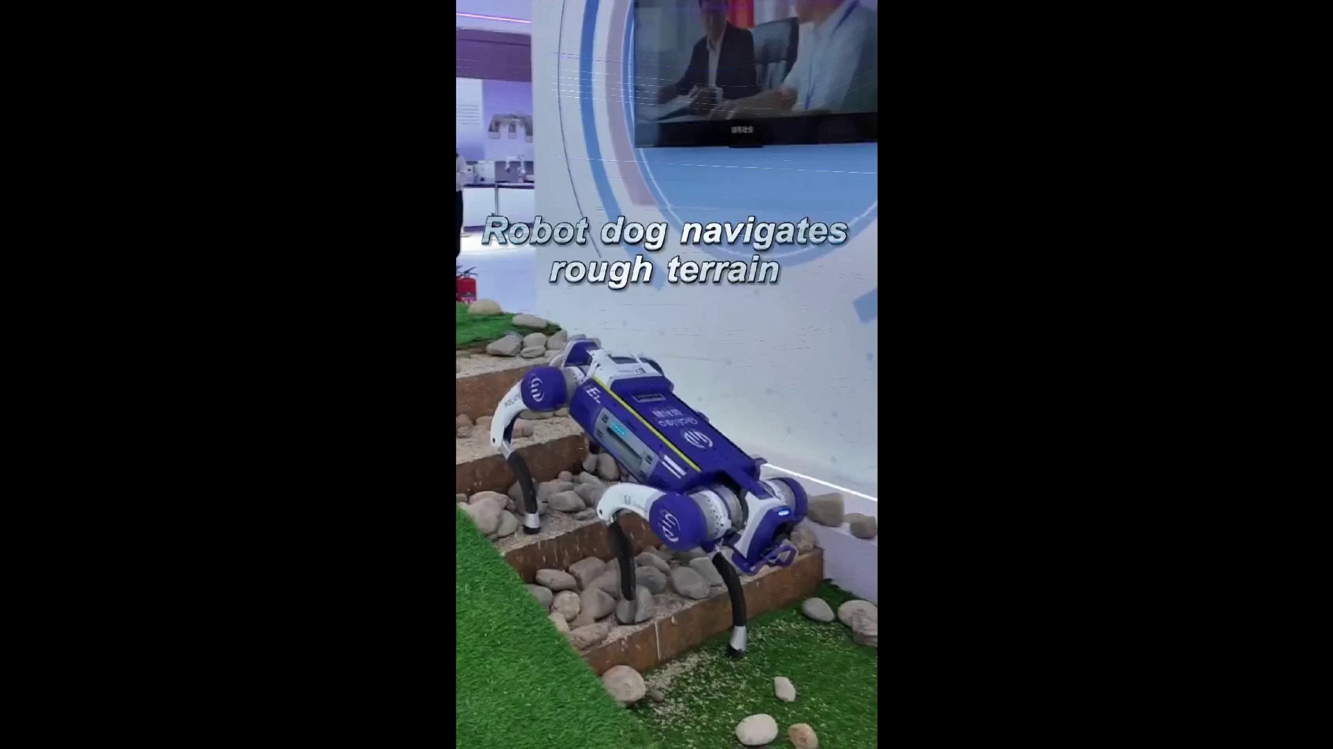 https://livesicilia.it/wp-content/uploads/2026/05/zg37.jpg
