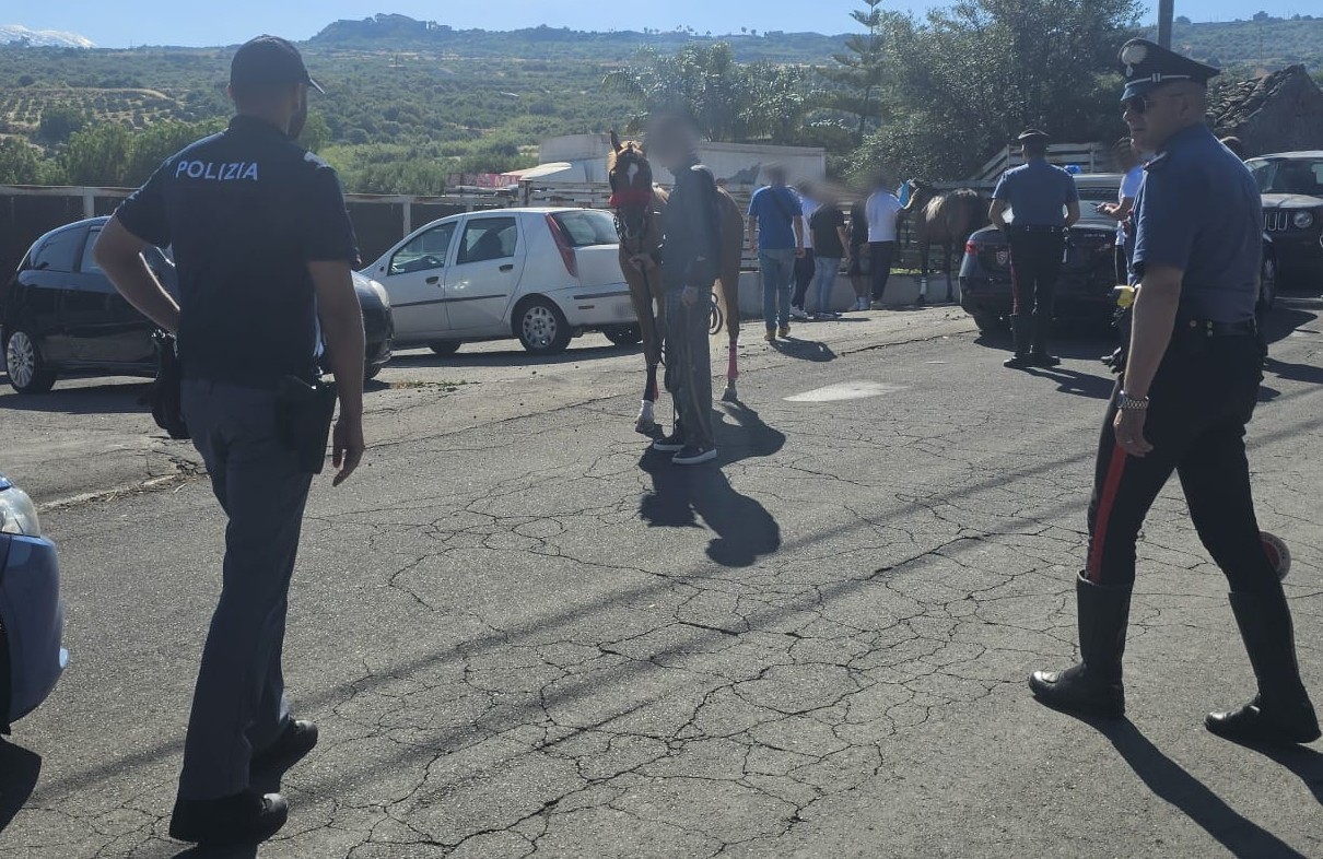 https://livesicilia.it/wp-content/uploads/2026/06/Corse-clandestine-cavalli-paterno.jpeg