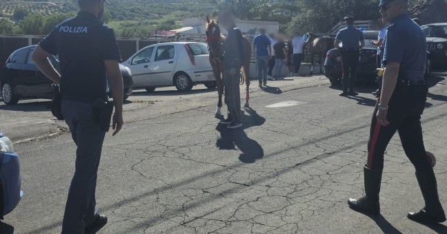 corse clandistine cavalli