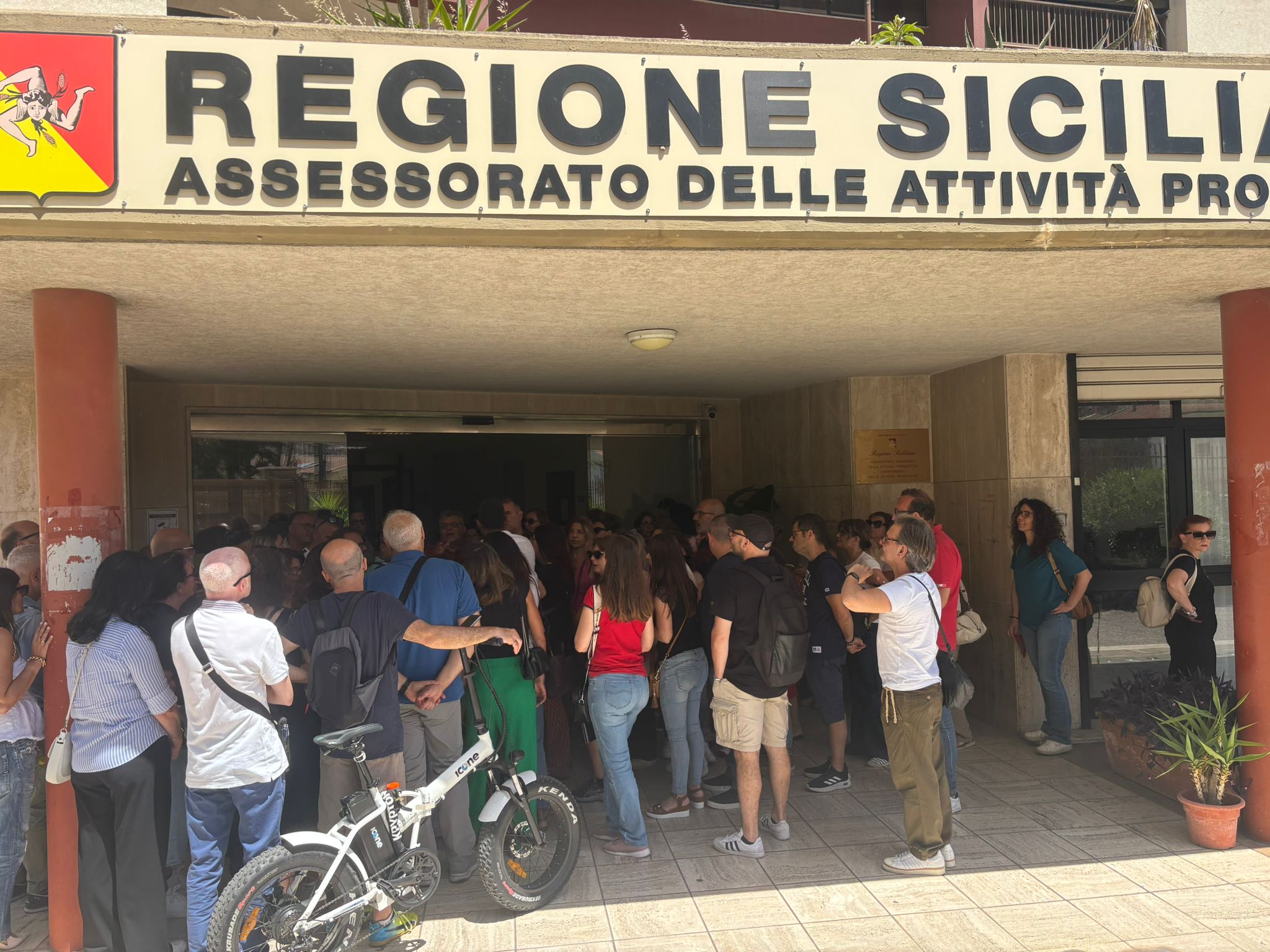 https://livesicilia.it/wp-content/uploads/2026/06/almaviva.jpg