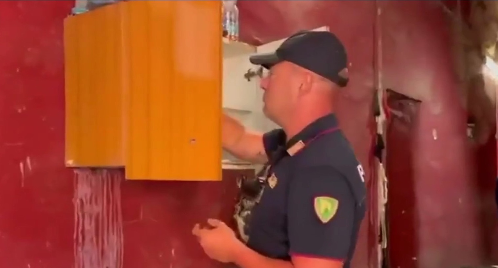 https://livesicilia.it/wp-content/uploads/2026/06/operazione-zoccolo-duro-catania.-cavalli-maltrattati.jpg