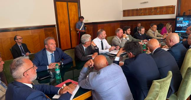 pfizer catania