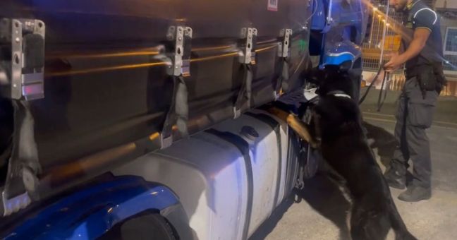Sequestrati 85 kg di droga al porto di Civitavecchia, arrestato autista bulgaro