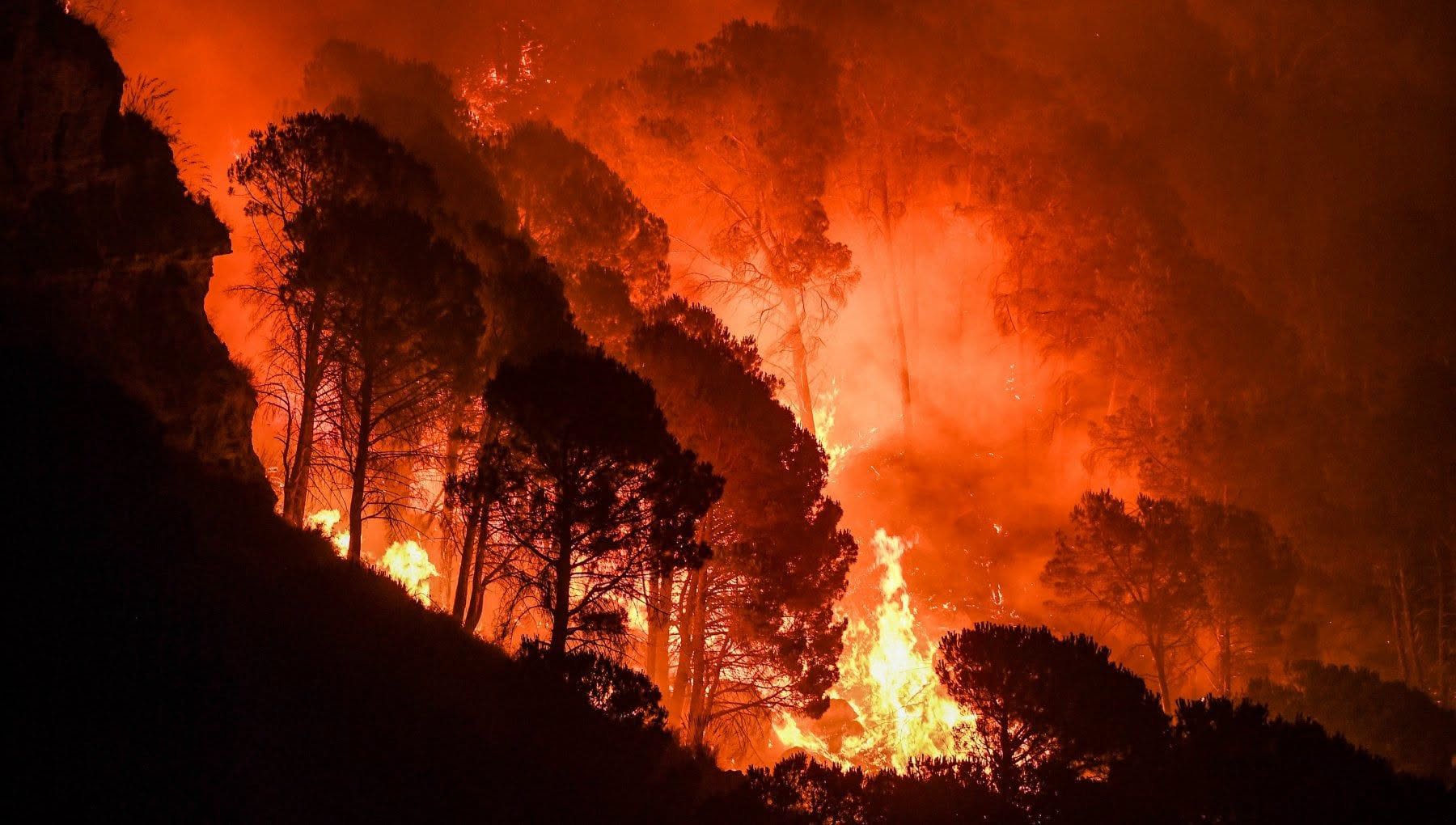 https://livesicilia.it/wp-content/uploads/2026/08/cefalu-incendio-diocesi.jpeg