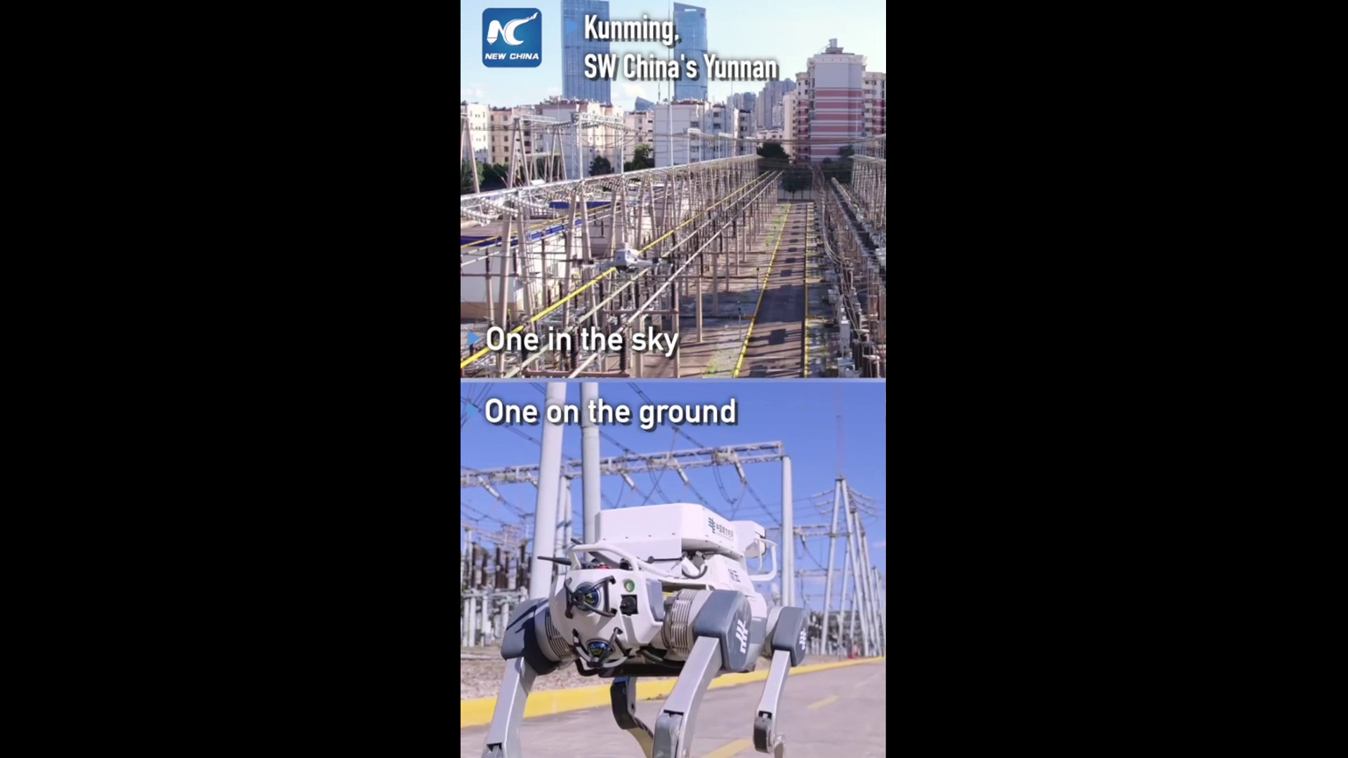 https://livesicilia.it/wp-content/uploads/2026/08/n07R.jpg