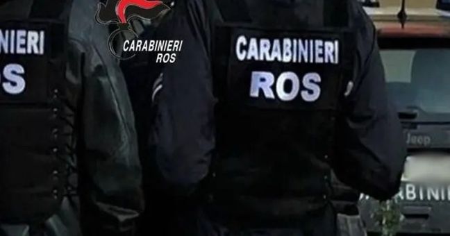Droga dal Brasile all’Italia, blitz contro la mafia e il narcotraffico