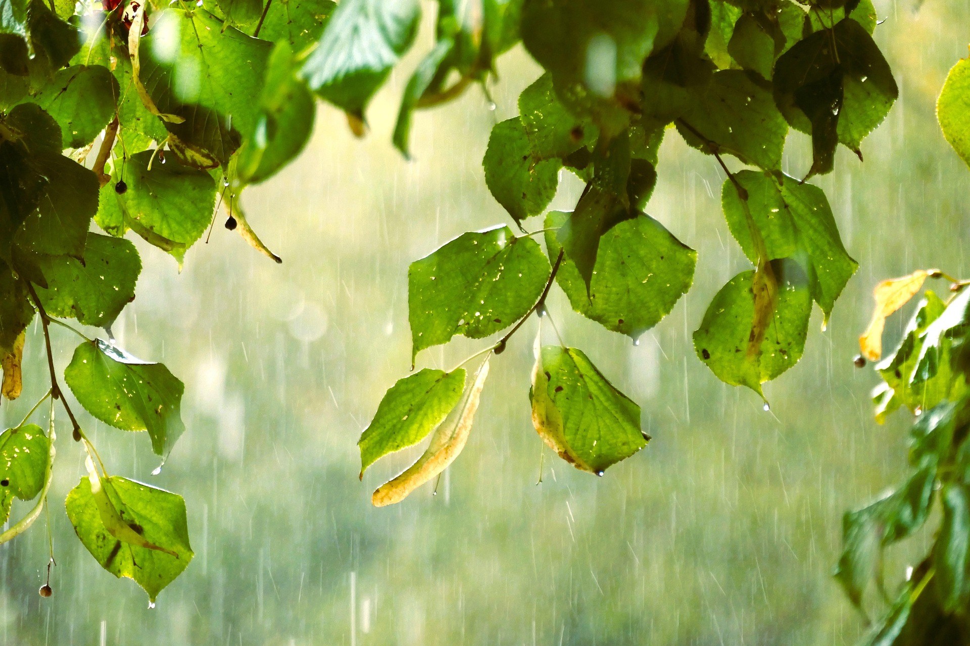 Meteo Sicilia